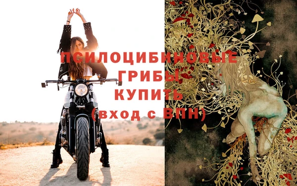 героин Алексин