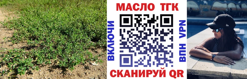 Купить где  Тейково  ТГК гашишное масло 